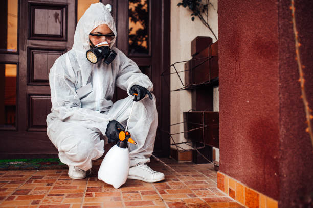 Reliable Wasp Removal contractor in Milltown, NJ by Show Me Pest Control