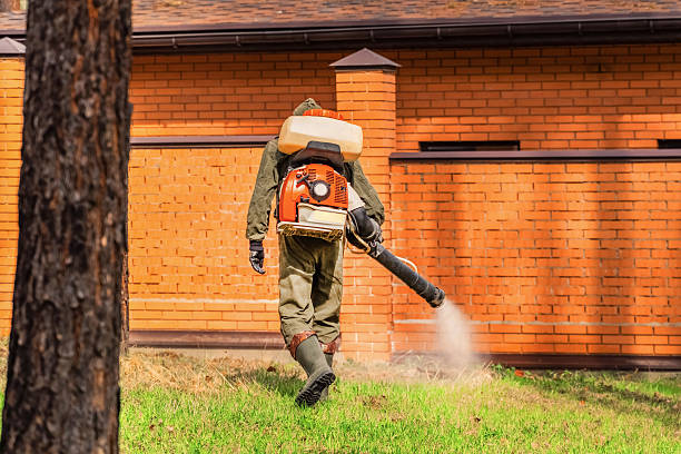 Top rated local Wasp Removal specialists in Milltown, NJ
